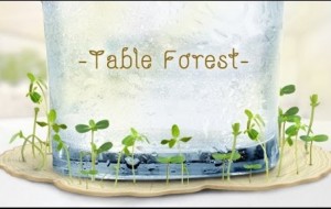 ปตทไอเดียแจ๋วรณรงค์ปลูกป่าด้วยTableForest แผ่นรองแก้วเมล็ดพันธุ์