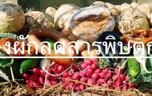 ล้างผักให้สารพิษตกค้างน้อยที่สุด